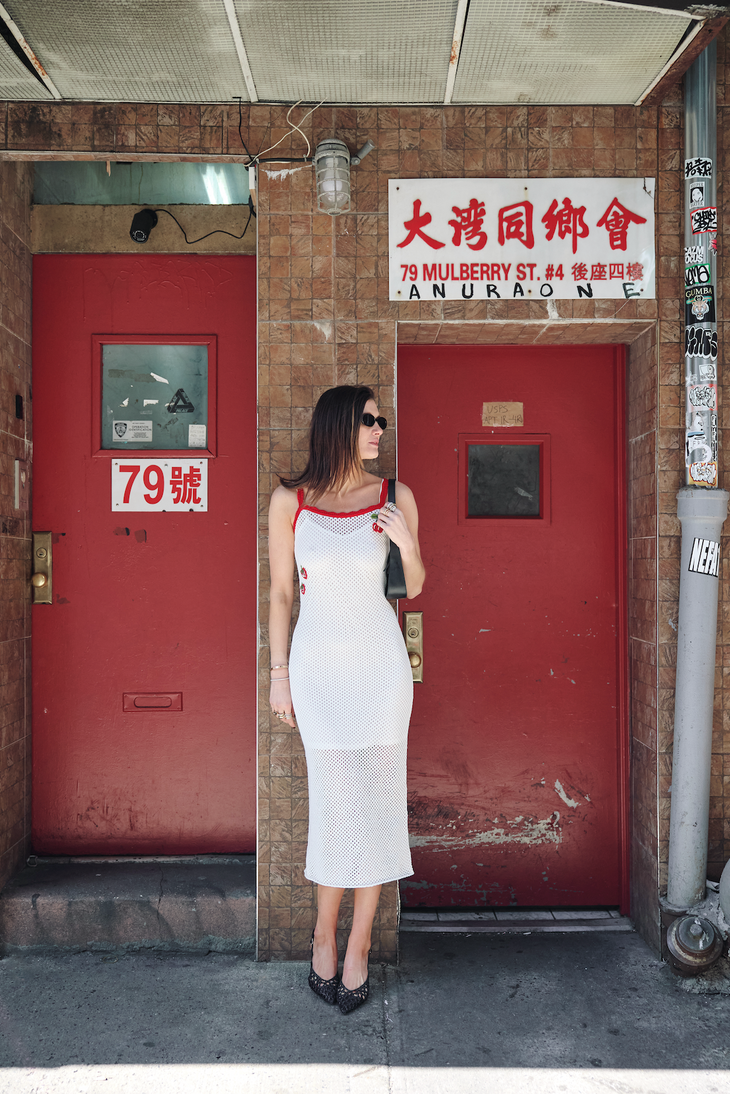 MARCIE EMBROIDERED DRESS