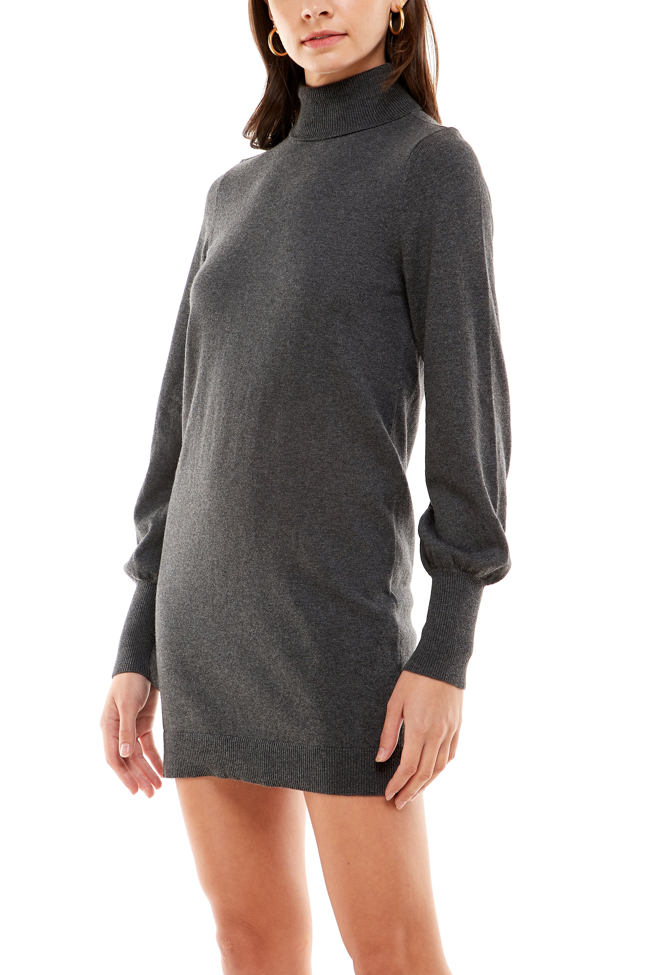 REVELRY TURTLE NECK DRESS
